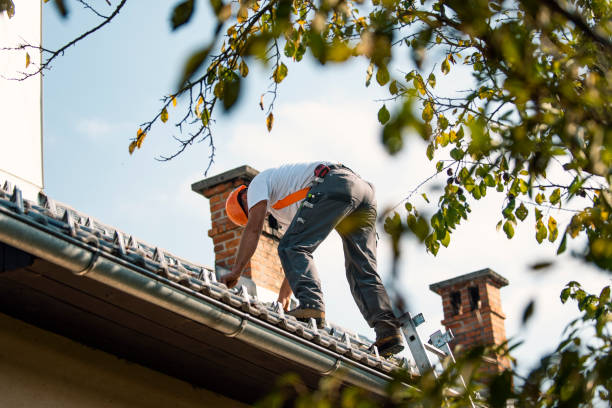 Best New Roof Installation  in Watervliet, MI