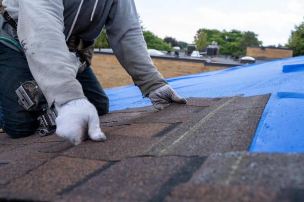 Best Commercial Roofing Services  in Watervliet, MI